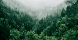 The Yukon Micro Loan Program is a tiered lending program---starting at $4,000 for a first loan---to individuals who want to start, maintain or expand small